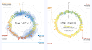 Illustration for article titled 365 Days of Weather in 35 Cities, All in a Single Beautiful Image